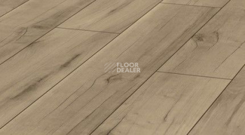 Ламинат Kronotex Exquisit 8мм d4697 Орех Валлис фото 1 | FLOORDEALER